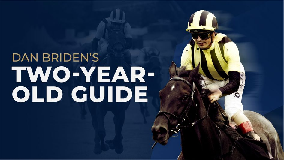 Check out the latest from our expert