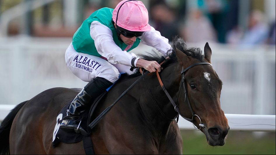 Exciting prospect Jubiloso wins under Ryan Moore