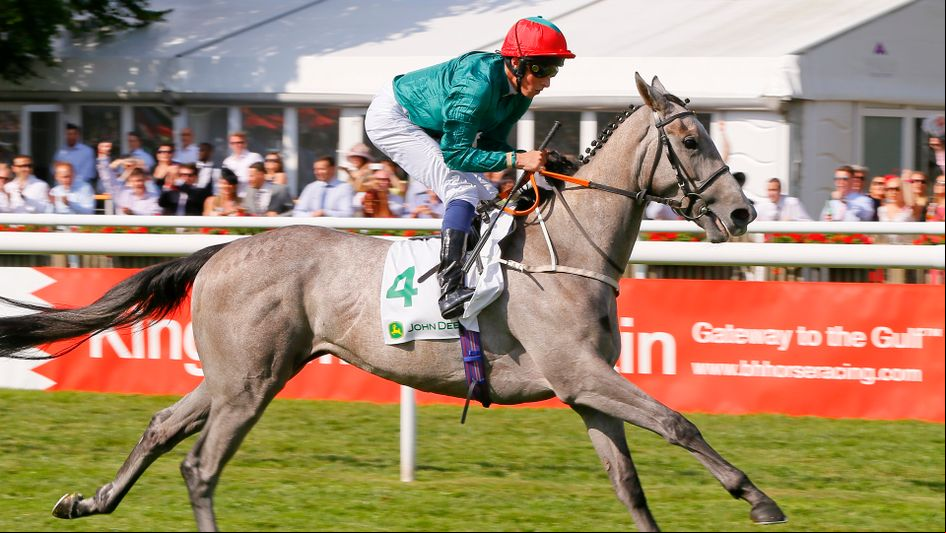 Dashing grey Lumiere wins at Newmarket