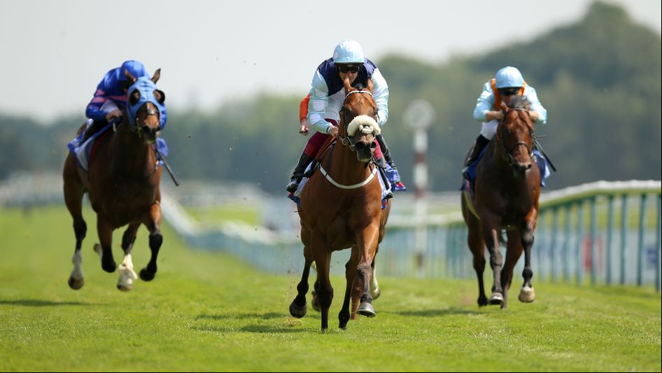 Regional impresses at Haydock