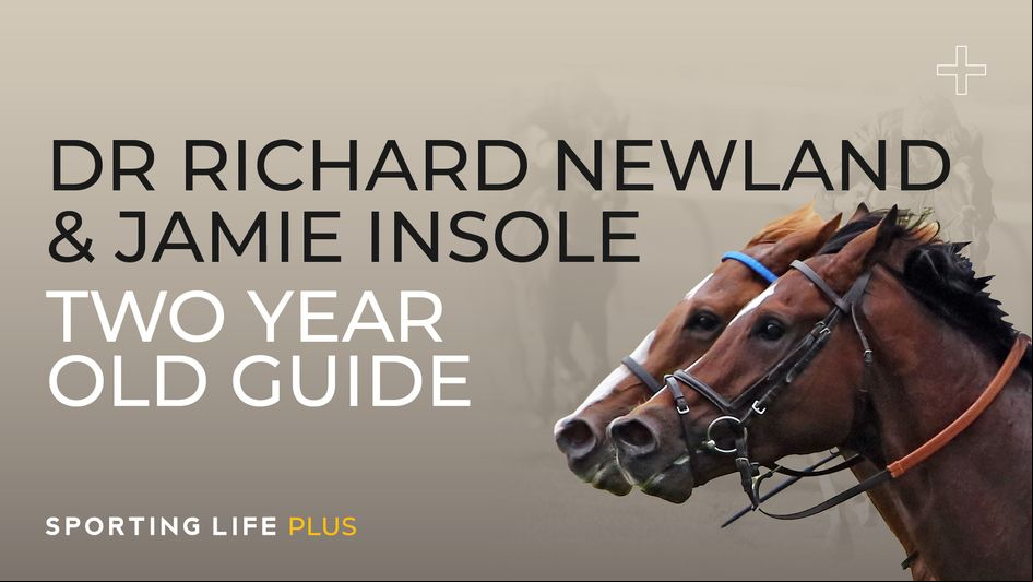 Two-Year-Old Guide: Jamie Insole