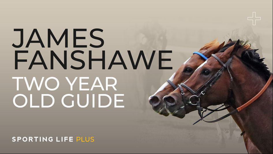 James Fanshawe Two-Year-Old Guide