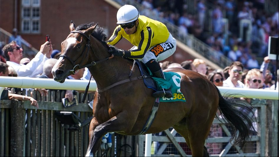 Pretty Pollyanna - Prix Morny heroine