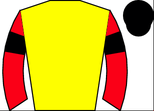 Horse silk