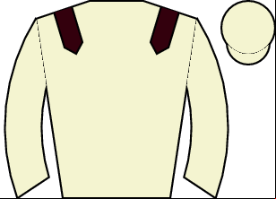 Horse silk