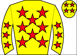 Horse silk