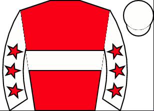 Horse silk