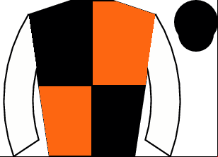 Horse silk