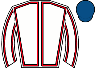 Horse silk
