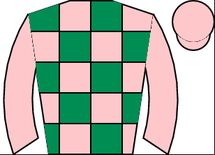 Horse silk