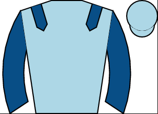 Horse silk