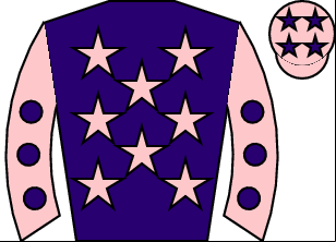 Horse silk