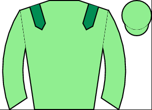 Horse silk