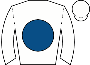 Horse silk
