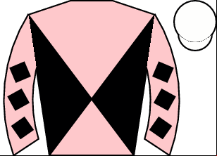 Horse silk
