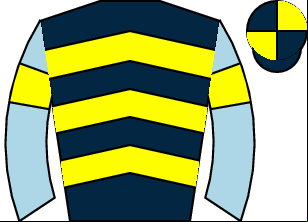 Horse silk