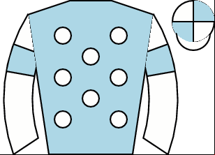 Horse silk