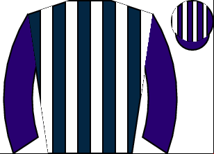Horse silk