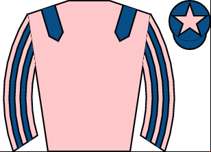 Horse silk