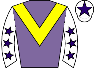 Horse silk