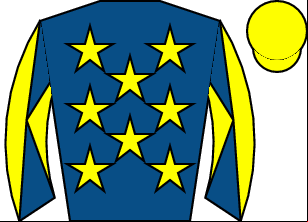 Horse silk