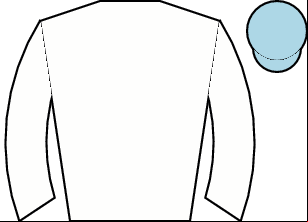 Horse silk