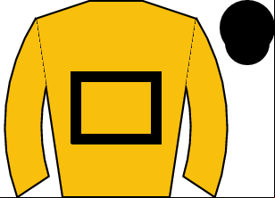 Horse silk