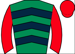 Horse silk