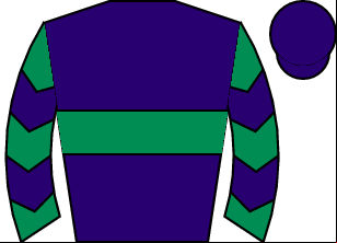 Horse silk