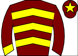 Horse silk