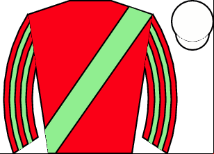 Horse silk
