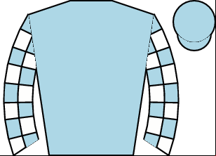 Horse silk