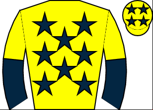 Horse silk