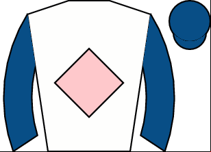 Horse silk