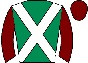 Horse silk