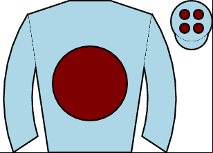 Horse silk