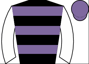 Horse silk