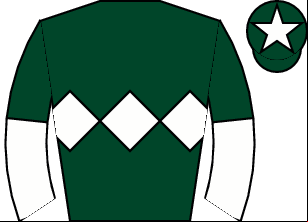 Horse silk