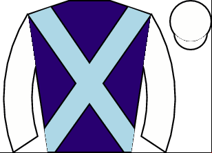 Horse silk