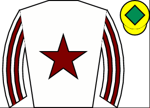 Horse silk