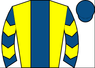Horse silk