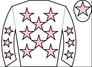 Horse silk