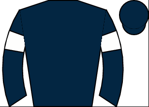 Horse silk
