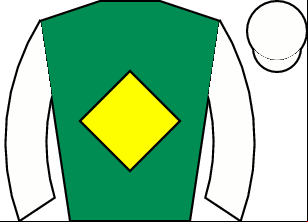Horse silk