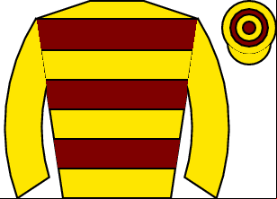 Horse silk
