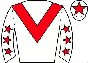 Horse silk