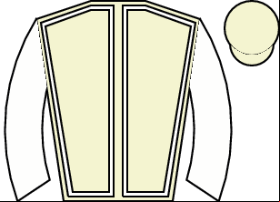Horse silk