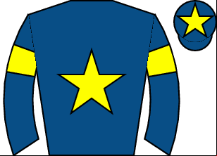 Horse silk