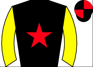 Horse silk