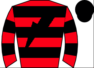 Horse silk